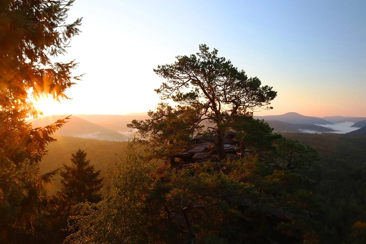 Pf&auml;lzer Wald - Schl&uuml;sselfels