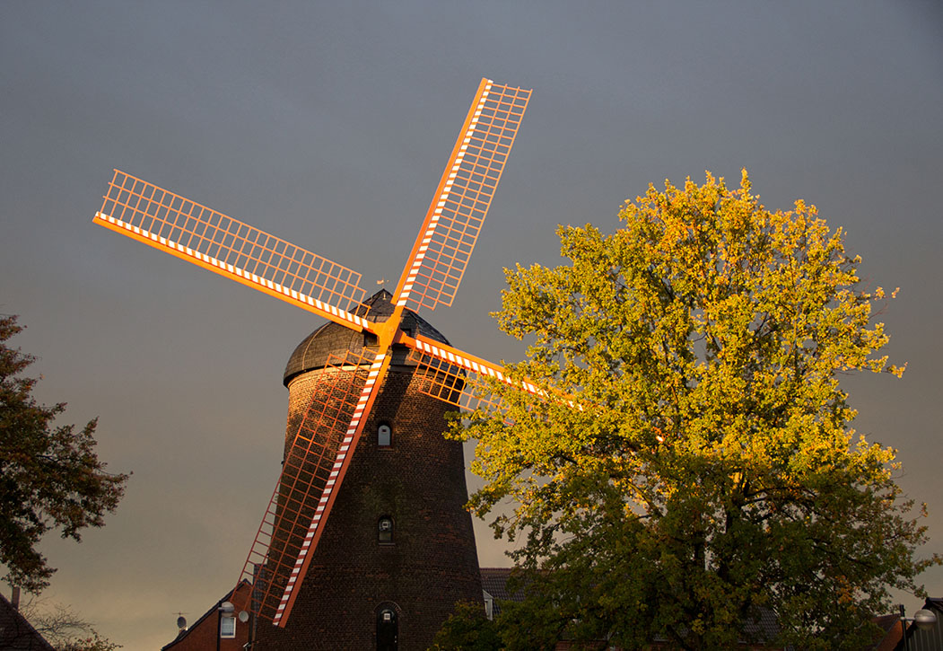 Teloy-Mühle Meerbusch